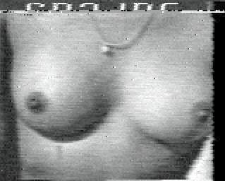 Oldtime SSTV image