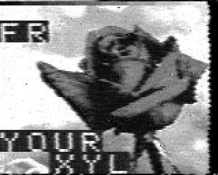 Oldtime SSTV image
